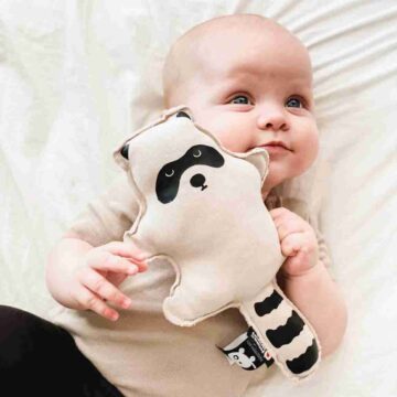 Rattle Rocky in Box 3