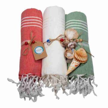 Ecobain Hamamdoek Classic 3