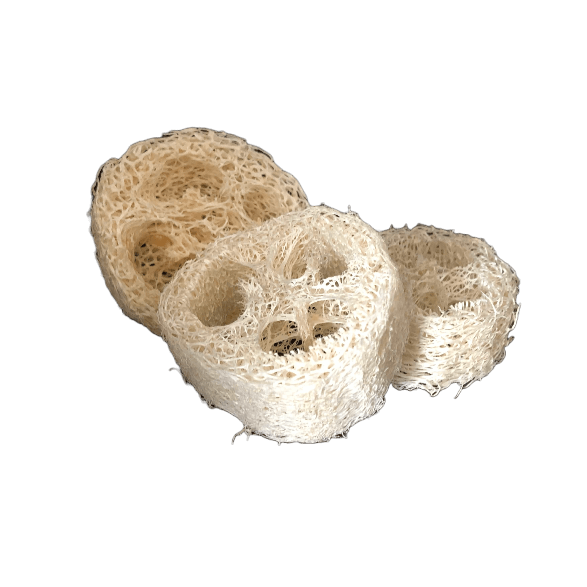 Zeepschaaltje natuurlijk