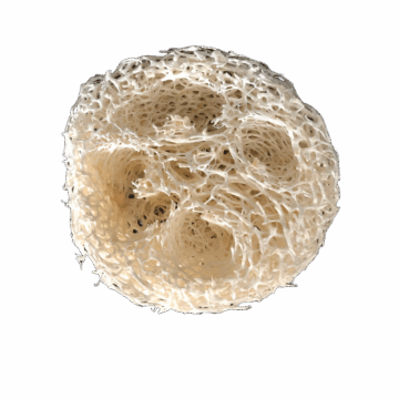 Zeepschaaltje natuurlijk