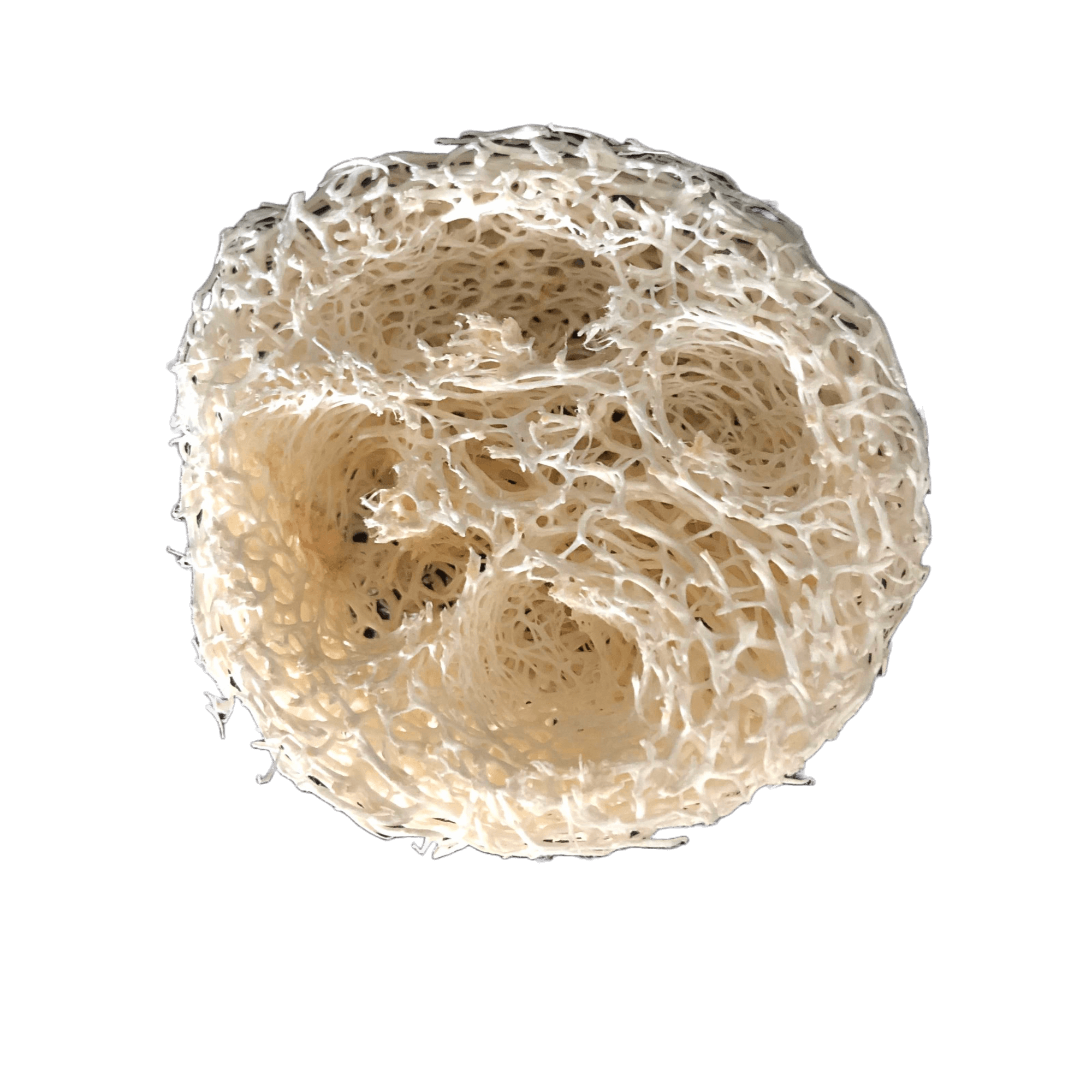 Zeepschaaltje natuurlijk