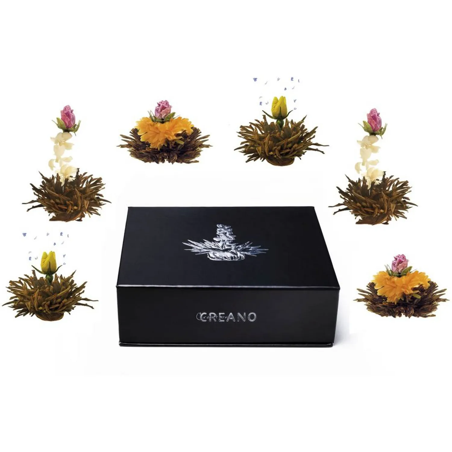 Magnetische theedoos met 6 thee bloemen