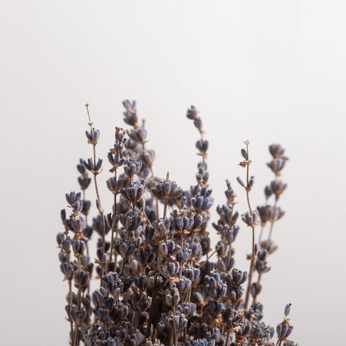 Castelbel zeep lavendel - 150 gram